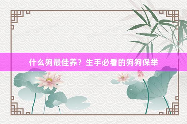 什么狗最佳养?生手必看的狗狗保举